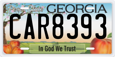 GA license plate CAR8393