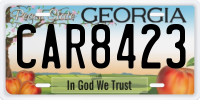 GA license plate CAR8423