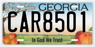 GA license plate CAR8501