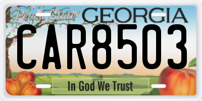 GA license plate CAR8503