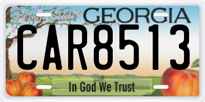 GA license plate CAR8513