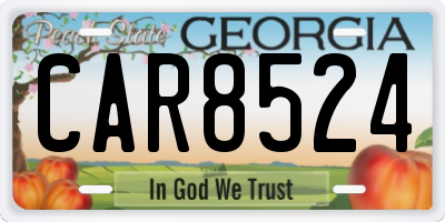 GA license plate CAR8524