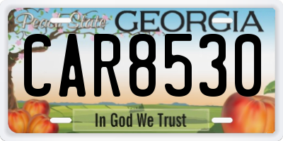 GA license plate CAR8530