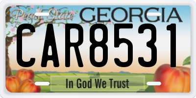 GA license plate CAR8531