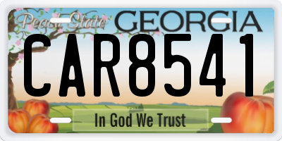 GA license plate CAR8541