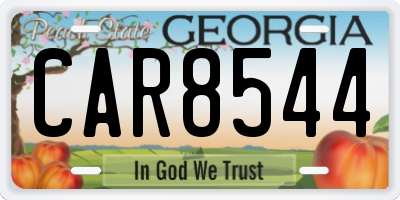 GA license plate CAR8544