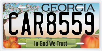 GA license plate CAR8559