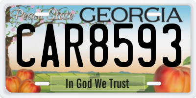 GA license plate CAR8593