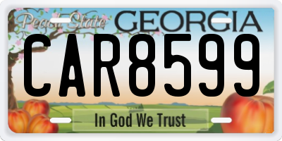 GA license plate CAR8599