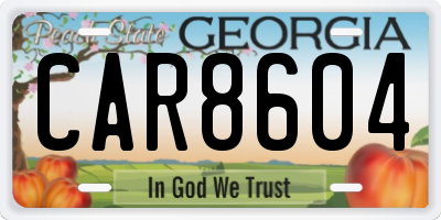 GA license plate CAR8604