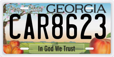 GA license plate CAR8623