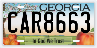 GA license plate CAR8663