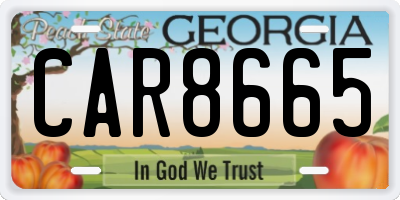 GA license plate CAR8665