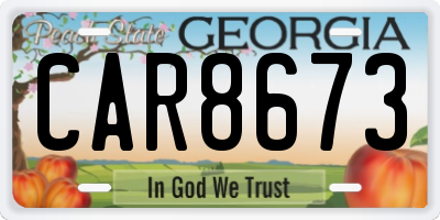 GA license plate CAR8673