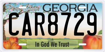 GA license plate CAR8729