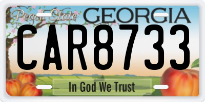 GA license plate CAR8733