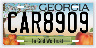 GA license plate CAR8909