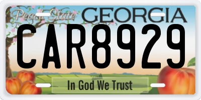 GA license plate CAR8929