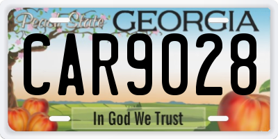 GA license plate CAR9028