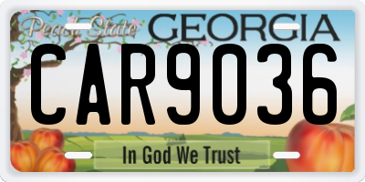 GA license plate CAR9036