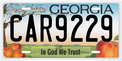 GA license plate CAR9229