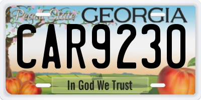 GA license plate CAR9230