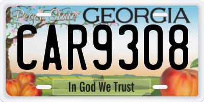 GA license plate CAR9308