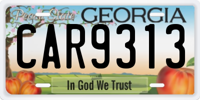 GA license plate CAR9313