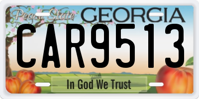 GA license plate CAR9513