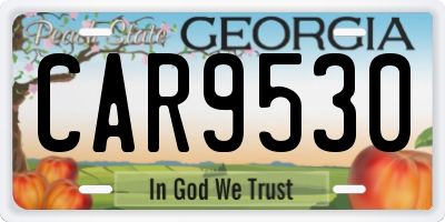 GA license plate CAR9530