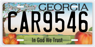 GA license plate CAR9546