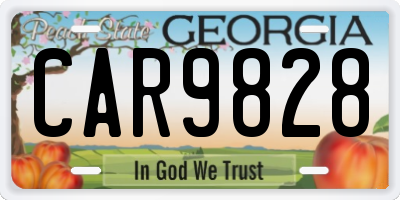 GA license plate CAR9828