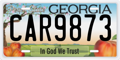 GA license plate CAR9873