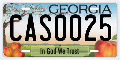 GA license plate CAS0025