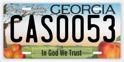 GA license plate CAS0053