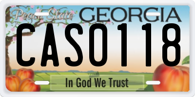 GA license plate CAS0118