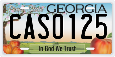 GA license plate CAS0125