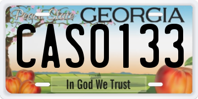 GA license plate CAS0133