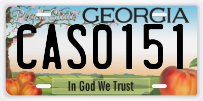 GA license plate CAS0151