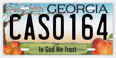 GA license plate CAS0164