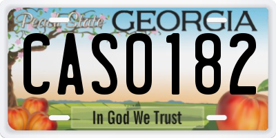 GA license plate CAS0182