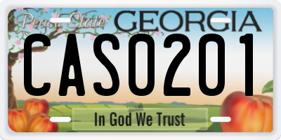 GA license plate CAS0201