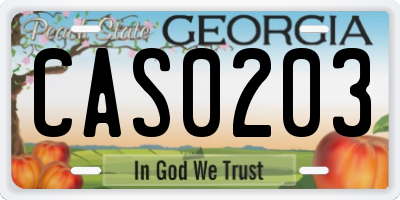 GA license plate CAS0203