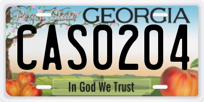 GA license plate CAS0204