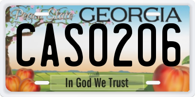 GA license plate CAS0206