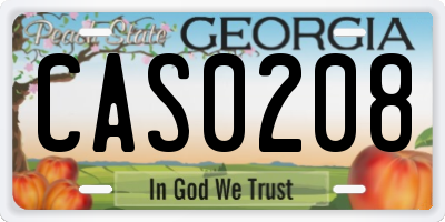 GA license plate CAS0208