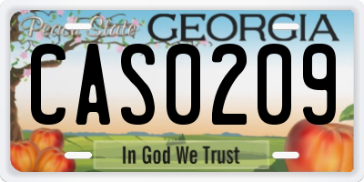 GA license plate CAS0209