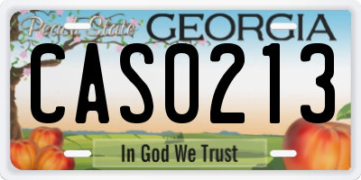 GA license plate CAS0213