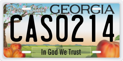 GA license plate CAS0214