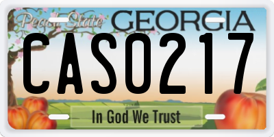 GA license plate CAS0217